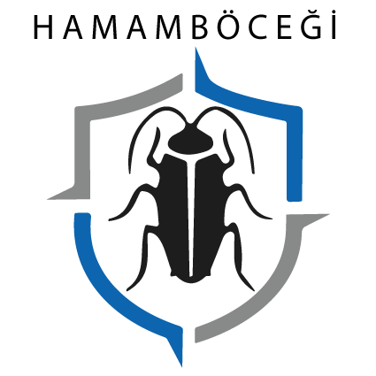 hamam-bocegi1.png