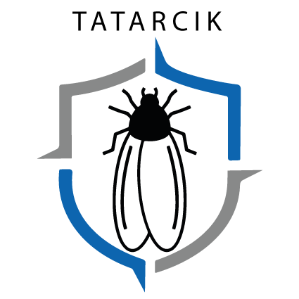 tatarcik1.png